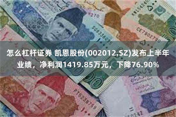 怎么杠杆证券 凯恩股份(002012.SZ)发布上半年业绩，净利润1419.85万元，下降76.90%