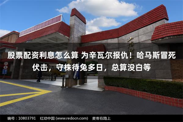 股票配资利息怎么算 为辛瓦尔报仇！哈马斯冒死伏击，守株待兔多日，总算没白等