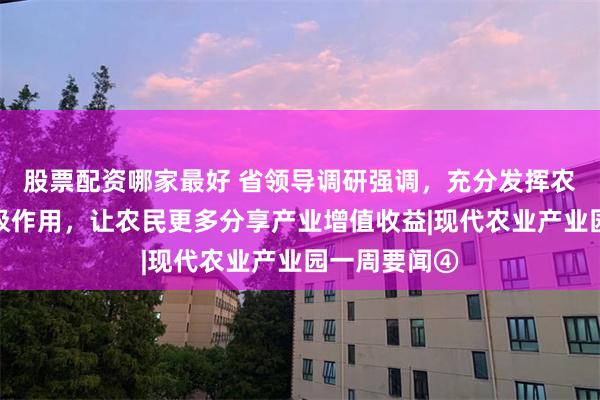 股票配资哪家最好 省领导调研强调，充分发挥农业产业园积极作用，让农民更多分享产业增值收益|现代农业产业园一周要闻④