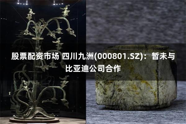 股票配资市场 四川九洲(000801.SZ)：暂未与比亚迪公司合作