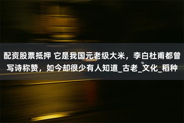 配资股票抵押 它是我国元老级大米，李白杜甫都曾写诗称赞，如今却很少有人知道_古老_文化_稻种