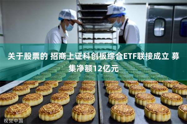 关于股票的 招商上证科创板综合ETF联接成立 募集净额12亿元