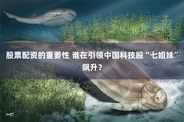 股票配资的重要性 谁在引领中国科技股“七姐妹”飙升？