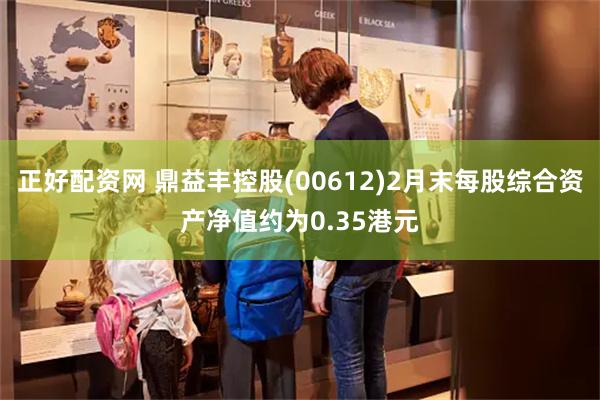 正好配资网 鼎益丰控股(00612)2月末每股综合资产净值约为0.35港元
