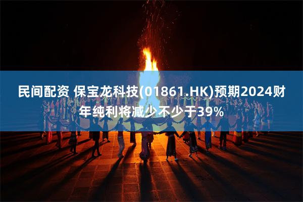 民间配资 保宝龙科技(01861.HK)预期2024财年纯利将减少不少于39%