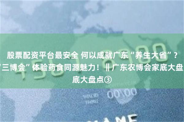股票配资平台最安全 何以成就广东“养生大省”？ 来“三博会”体验药食同源魅力！‖广东农博会家底大盘点