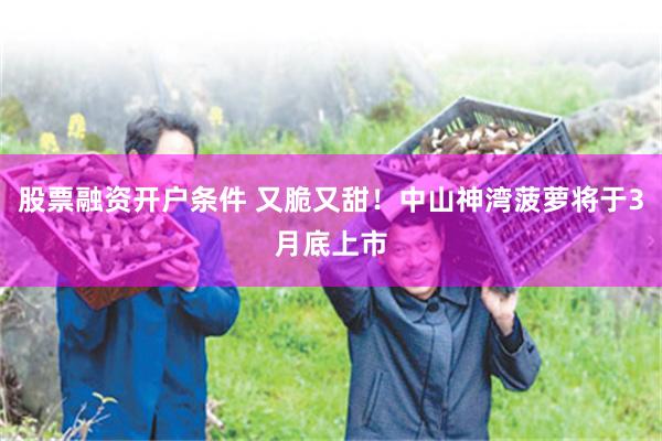 股票融资开户条件 又脆又甜！中山神湾菠萝将于3月底上市
