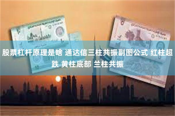 股票杠杆原理是啥 通达信三柱共振副图公式 红柱超跌 黄柱底部 兰柱共振