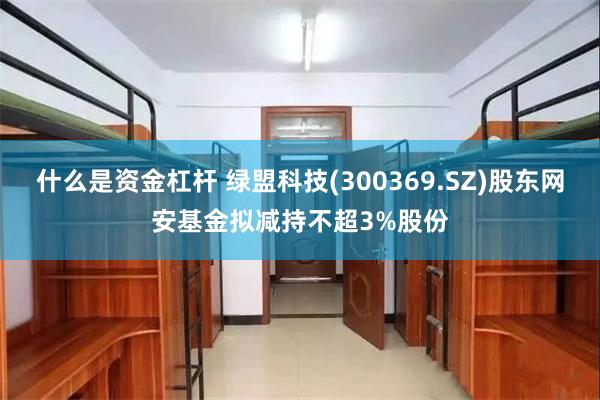 什么是资金杠杆 绿盟科技(300369.SZ)股东网安基金拟减持不超3%股份
