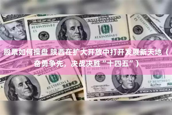 股票如何操盘 陕西在扩大开放中打开发展新天地（奋勇争先，决战决胜“十四五”）