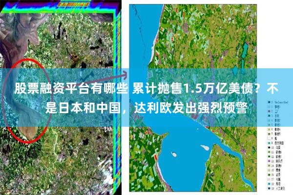 股票融资平台有哪些 累计抛售1.5万亿美债？不是日本和中国，达利欧发出强烈预警