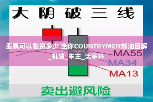 股票可以融资多少 迷你COUNTRYMEN燃油因解_机油_车主_活塞环