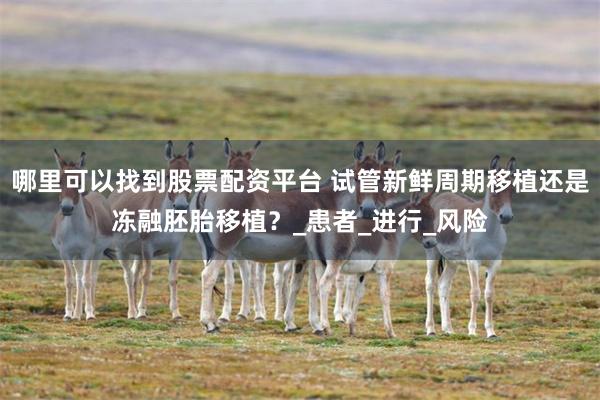 哪里可以找到股票配资平台 试管新鲜周期移植还是冻融胚胎移植？_患者_进行_风险