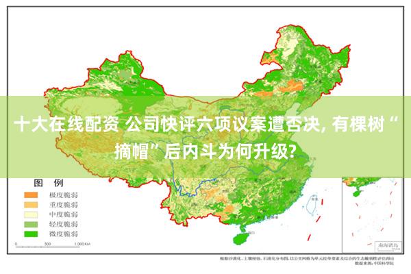 十大在线配资 公司快评六项议案遭否决, 有棵树“摘帽”后内斗为何升级?